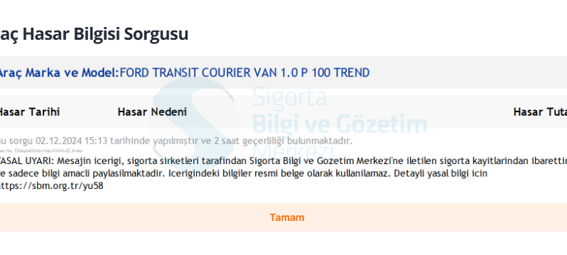 2024 FORD COURİER PANELVAN HATASIZ 1.0 ECOBOOST TREND 6 İLERİ dolu